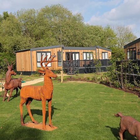 Sandy Balls Holiday Village Fordingbridge Zewnętrze zdjęcie