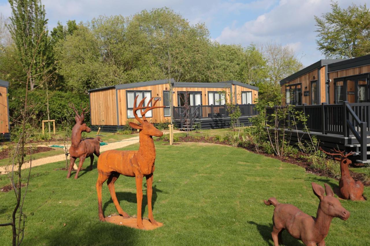 Sandy Balls Holiday Village Fordingbridge Zewnętrze zdjęcie